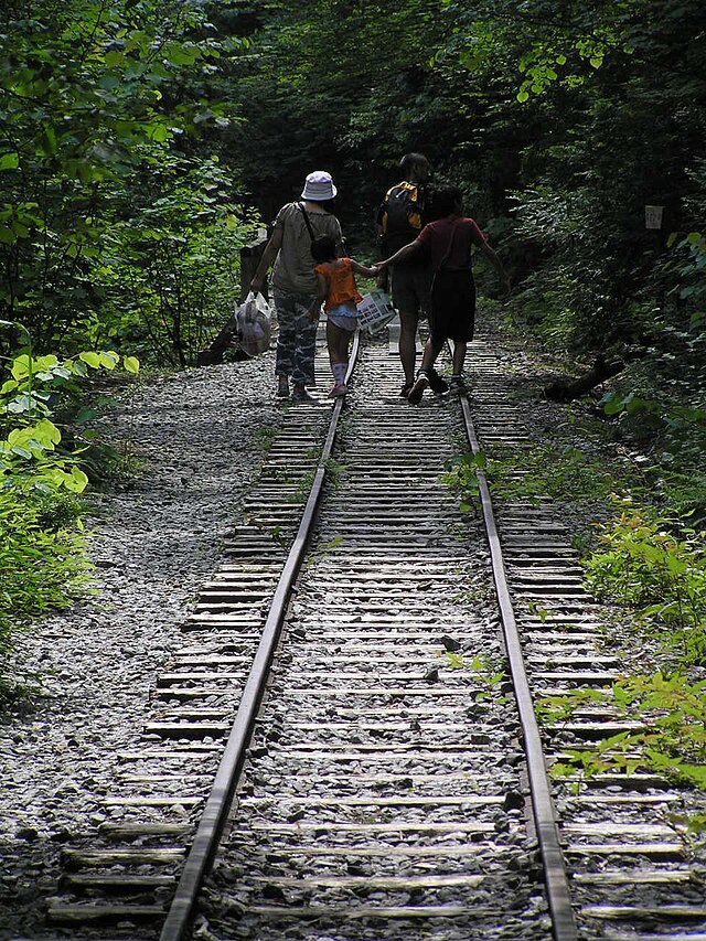 木曽森林鉄道 - Wikipedia