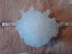 The largest recorded hailstone in the United States Record hailstone Vivian, SD.jpg