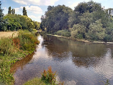 River Mole from Common Meadow, Leatherhead