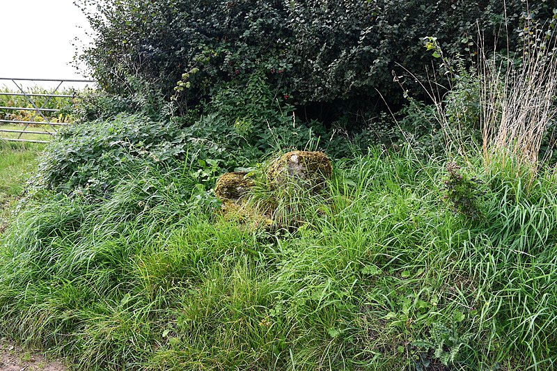 File:Roadside cross, Old Cleeve (2020-09-15) 02.jpg