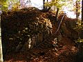 Ruine Günzelburg