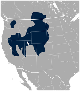 Sage Grouse Centrocercus urophasianus distribution map 2.png