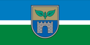 Municipalità di Salaspils