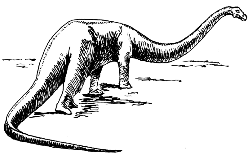 File:Sauropod (PSF).png