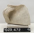 Shoulder and Handle of Large Storage Jar - YDEA - 3621.jpg