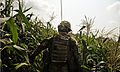 Soldiers of the corn 110912-F-RN211-195.jpg