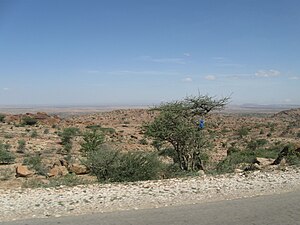 Somalia (Somaliland)(053).jpg