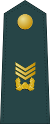 SouthKorea-Army-OR-7.svg