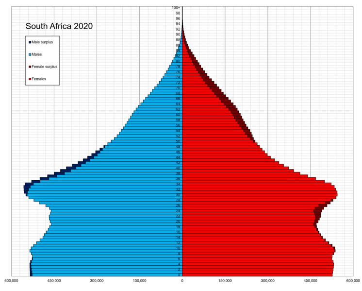 File:South Africa single age population pyramid 2020.png