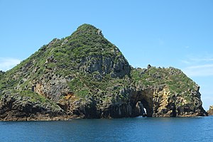 Blick von Südwesten auf die südliche Spitze von Tawhiti Rahi Island