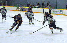 Southwest and Barrie battle during 2013-14 season. Southwest Jr. Wildcats versus Barrie Jr. Sharks, PWHL 2013.jpg