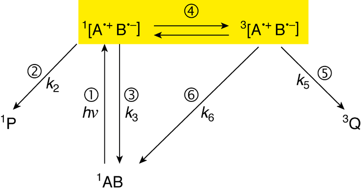 Typical Reaction Scheme of the Radical-pair Mechanism, which shows the effect of alternative product formation from singlet versus triplet radical-pairs. The Zeeman and Hyperfine Interactions take effect in the yellow box, denoted as step 4 in the process