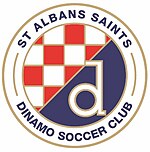 St Albans Saints Dinamo logo.jpg