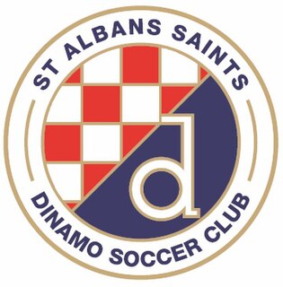 St Albans Saints SC association football club