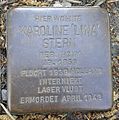 image=https://commons.wikimedia.org/wiki/File:Stolperstein_Hilchenbach_Unterzeche_1_Karoline_Lina_Stern.jpg