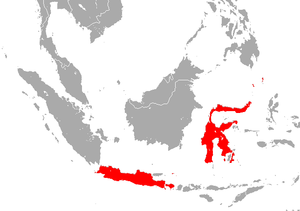 Sulawesi Horseshoe Bat area.png