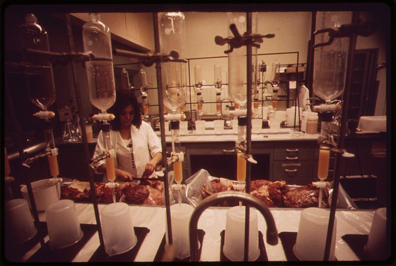 File:TECHNICIAN TESTS MEAT SAMPLES FOR RADIATION AT EPA'S NATIONAL ENVIRONMENTAL RESEARCH CENTER AT LAS VEGAS - NARA - 547710.jpg