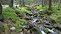 Tatry Zachodnie