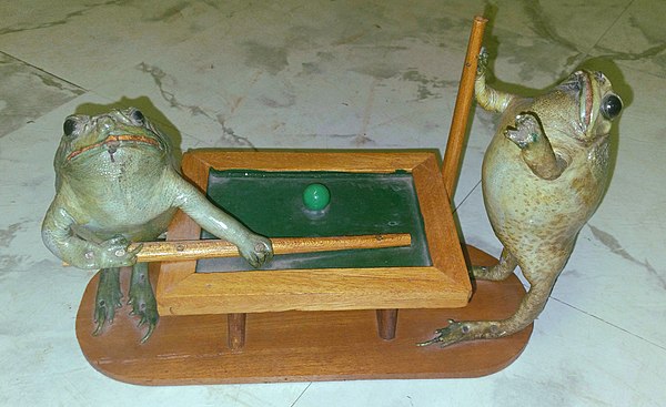 Taxidermy frogs playing pool.