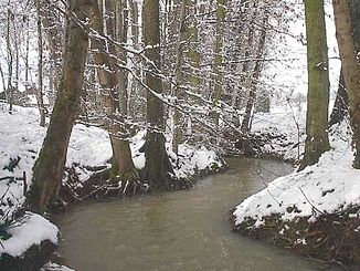 The Thalbach near Knœringue