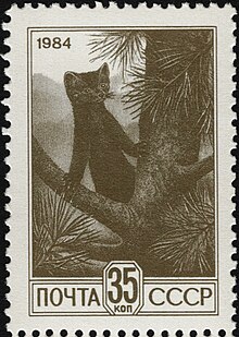 A Siberian sable depicted on a 35 kopeck stamp The Soviet Union 1984 CPA 5548 stamp (13th standard issue of Soviet Union. 7th issue. Environmental protection. Sable in cedar) 1200dpi.jpg