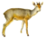 The book of antelopes (1894) Madoqua phillipsi white background.png