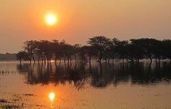 સુર્યોદય સમયે થોળના તળાવની લાક્ષણીક તસવીર