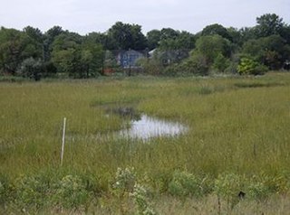 <span class="mw-page-title-main">Woodbridge River</span> River in New Jersey, United States