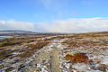 * Nomination Landscape at Mount Torkilstöten, Ljungdalen (Berg municipality, Jämtland county). --ArildV 14:30, 30 October 2014 (UTC) * Promotion Good quality. --Graphium 17:17, 30 October 2014 (UTC)