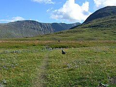 Trail in Sylan range, Trøndelag/Sweden