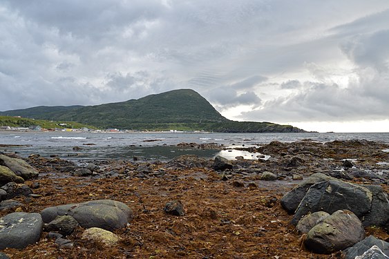 Trout River Bay