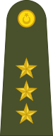 Dosya:Turkey-army-OF-2.svg