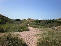 Dunas de arena de Tylösand.