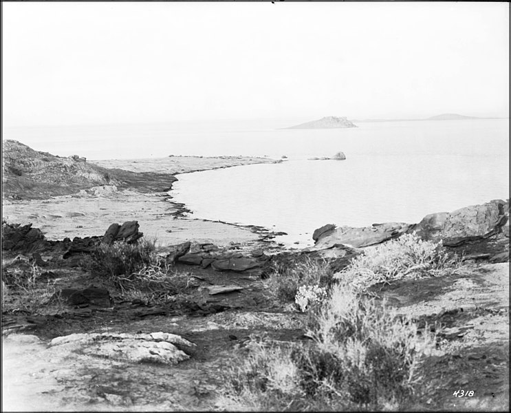 File:View of Salton Sea, California, ca.1910. (CHS-4318).jpg