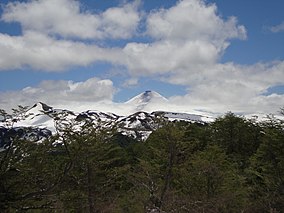 Villarrica Nieve Bosque.jpg