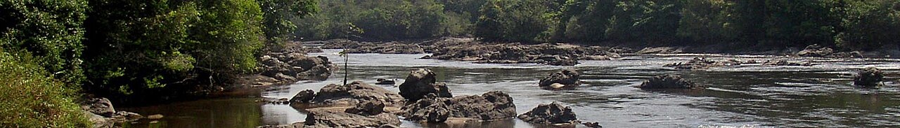 WV banner Okapi Wildlife Reserve Epulu river.jpg