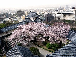 Utsikt över Wakayama från Wakayama slott