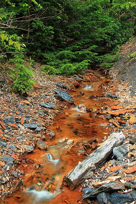 An acid mine-contaminated water source in the McIntyre Wild Area of the Loyalsock State Forest