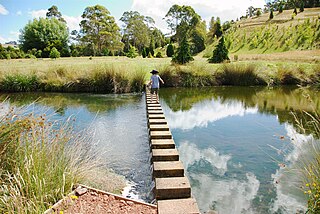 The Tasmanian Arboretum