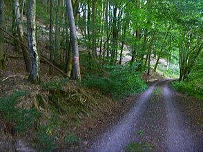 Wanderweg im Wellbachtal