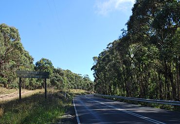 Wombat State Forest.JPG