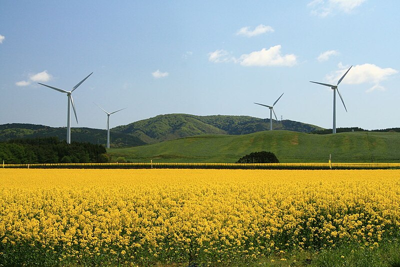 File:Yokohama wind farm.jpg