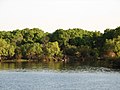 Zambezi River.jpg