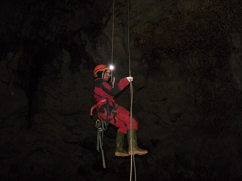 File:"Askending" Lowo Cave Cagar Alam Goa Nglirip.jpg