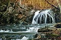 cascada de medusas