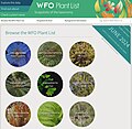 Миниатюра для WFO Plant List