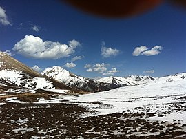 雲南白馬雪山.jpg