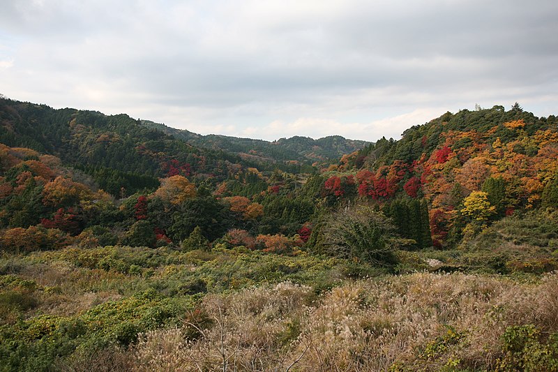 File:粟又遊歩道 - panoramio (15).jpg