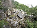 Blocs de kersantite (résidus de carrière) abandonnés le long du sentier piétonnier longeant la rive nord de la ria du Camfrout près de Kersanton 3.