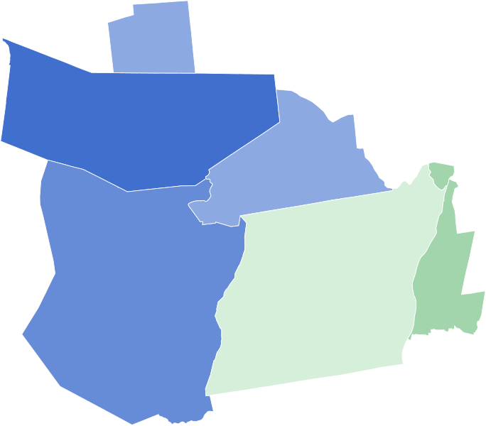 File:2008 United States House of Representatives Democratic Primary Election in New York's 21st Congressional District.svg